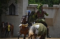 SFaire_2012 (509)